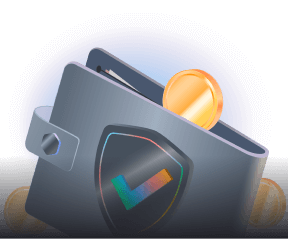 The Crypto Wallet, NOW and ever